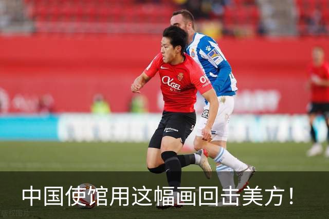中国使馆用这幅画回击美方！