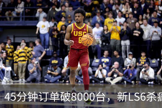45分钟订单破8000台，新LS6杀疯了！